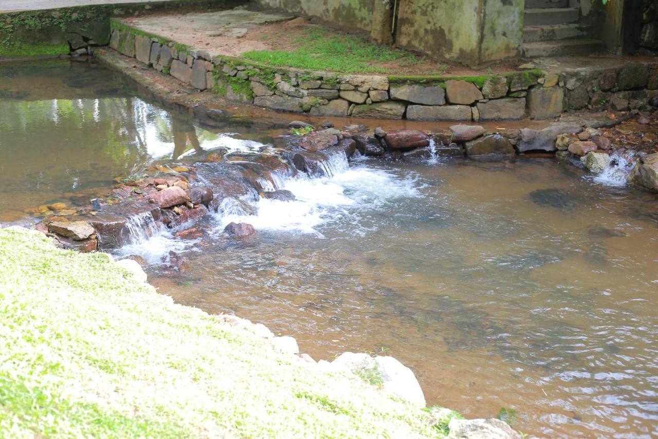 Hotel Heaven De Fountain Avissawella Zewnętrze zdjęcie